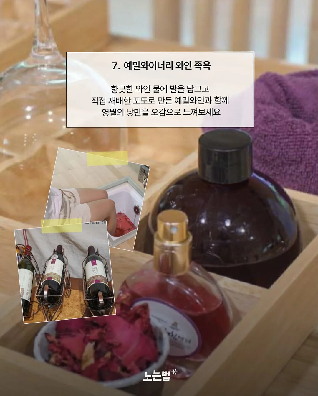 단톤 셋업 9