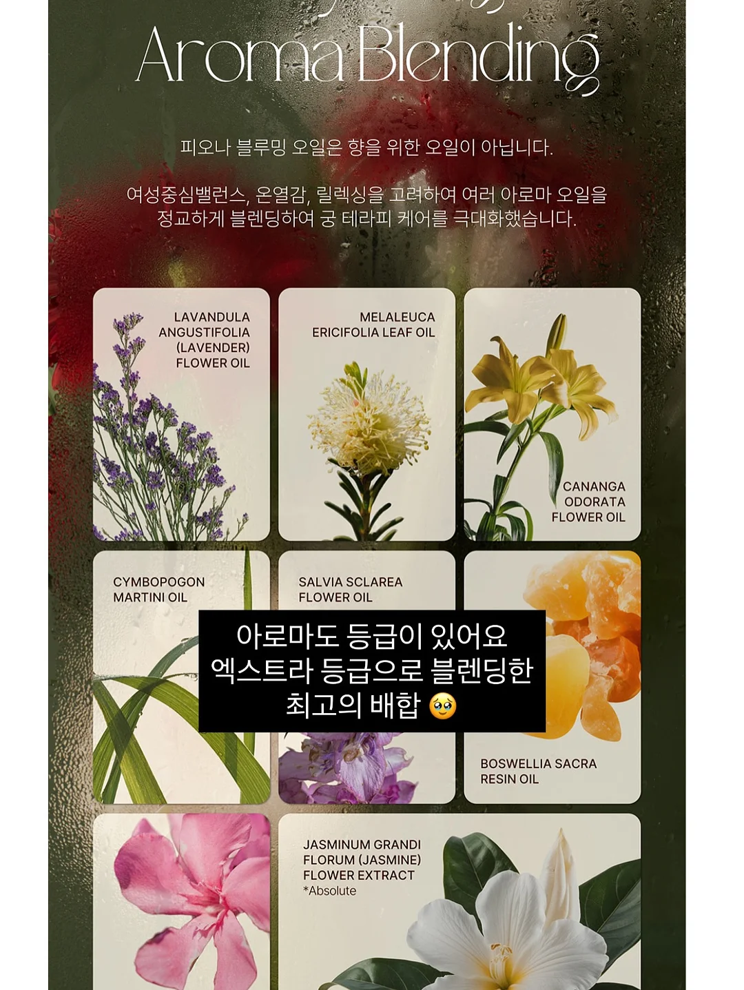 에어리돗 매쉬집업 상하세트 8
