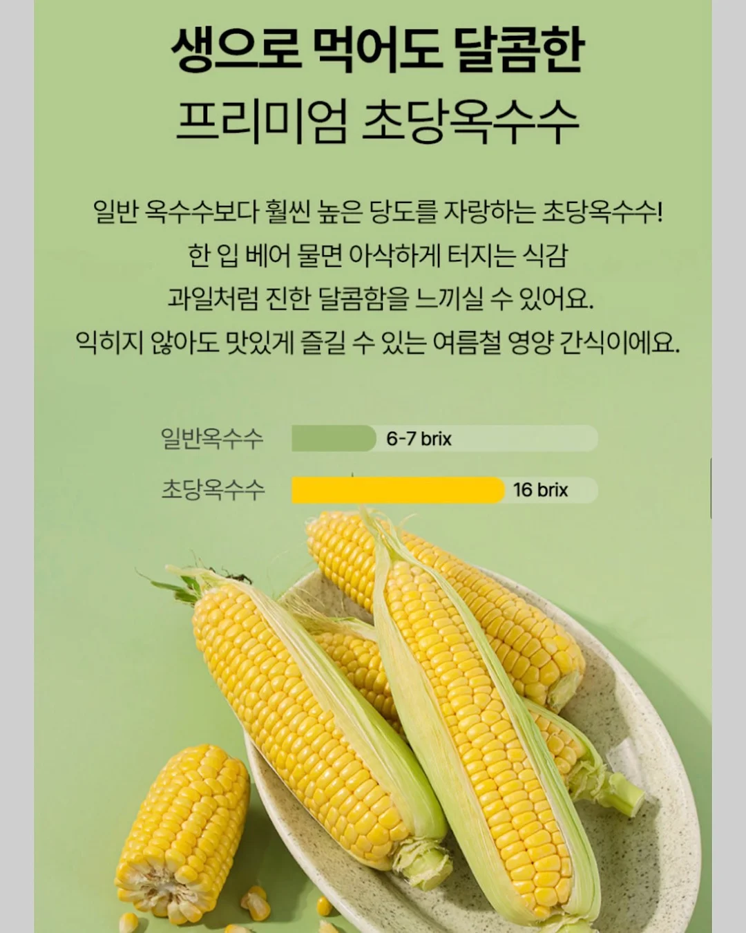 밸리 핸드백 라지 11