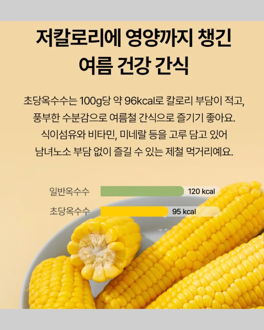 밸리 핸드백 라지 12