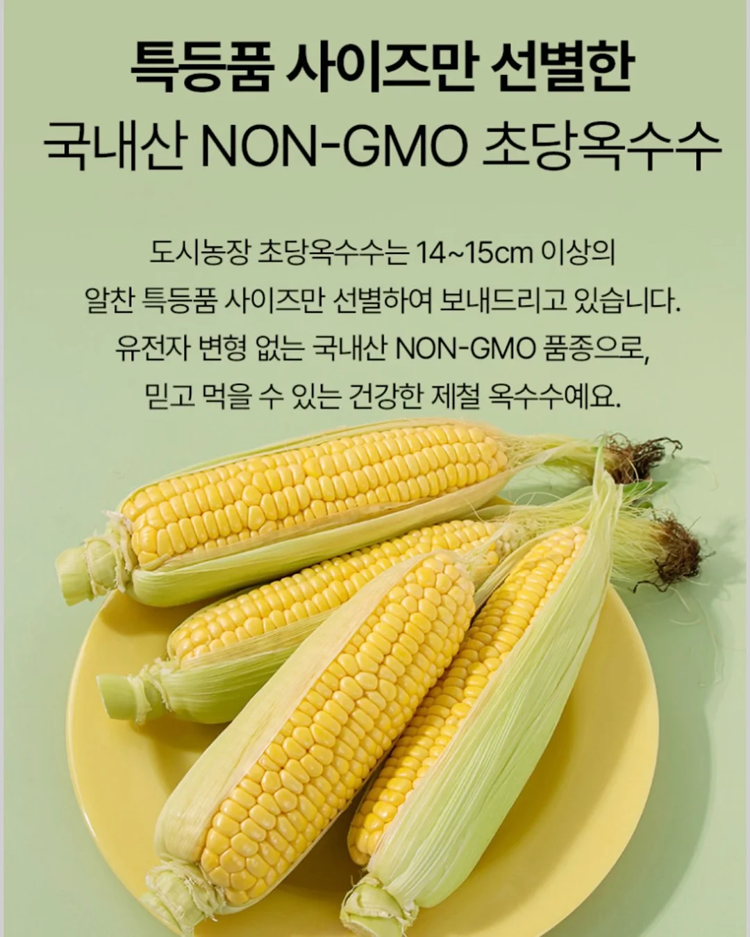 밸리 핸드백 라지 13
