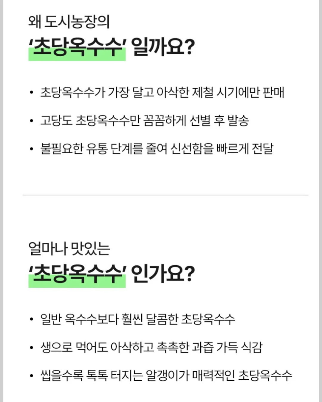밸리 핸드백 라지 6