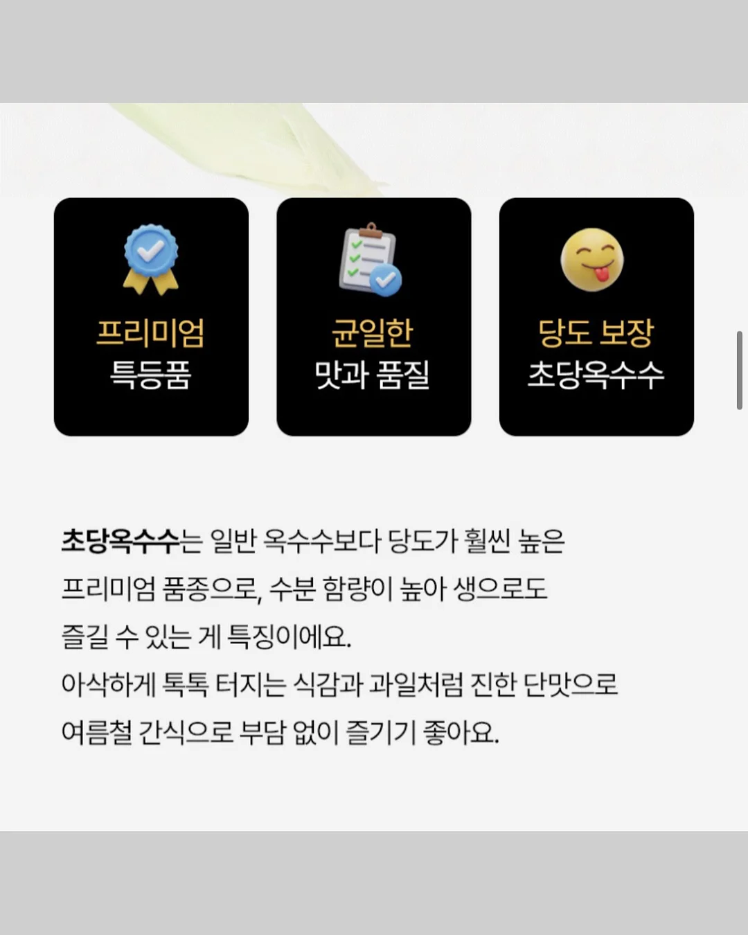 밸리 핸드백 라지 7