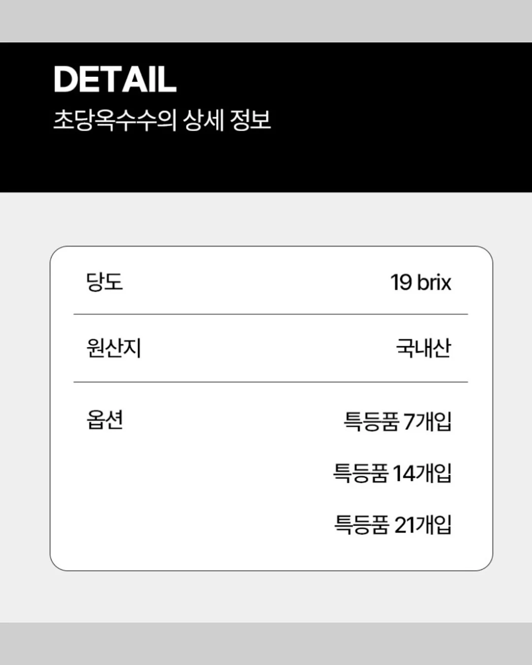 밸리 핸드백 라지 9