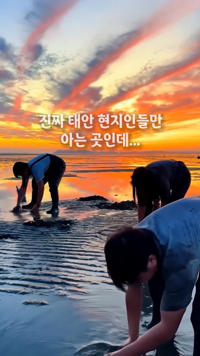 아실리스 천연 실리카 정기구독