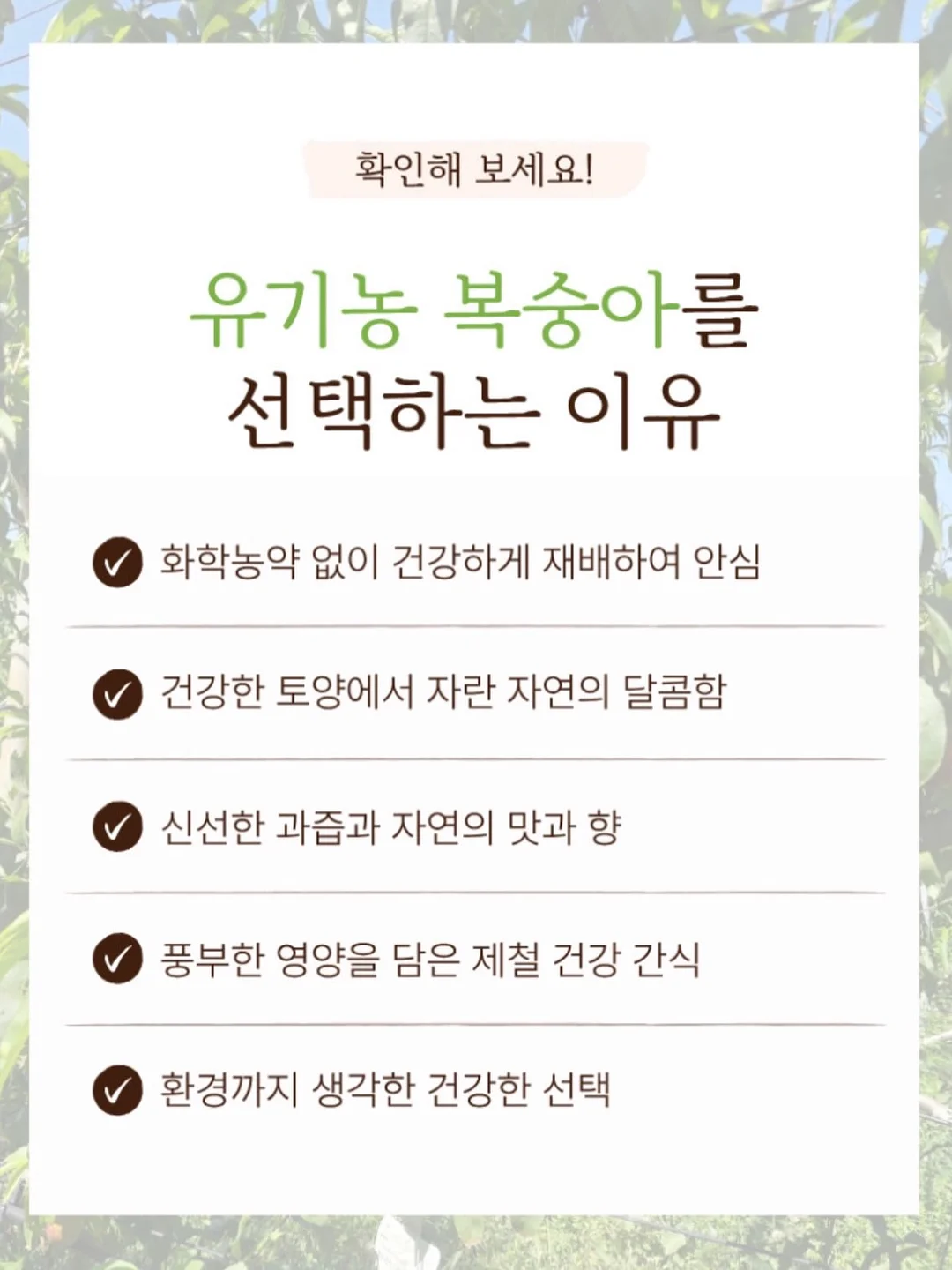 붙박이장 침대 12