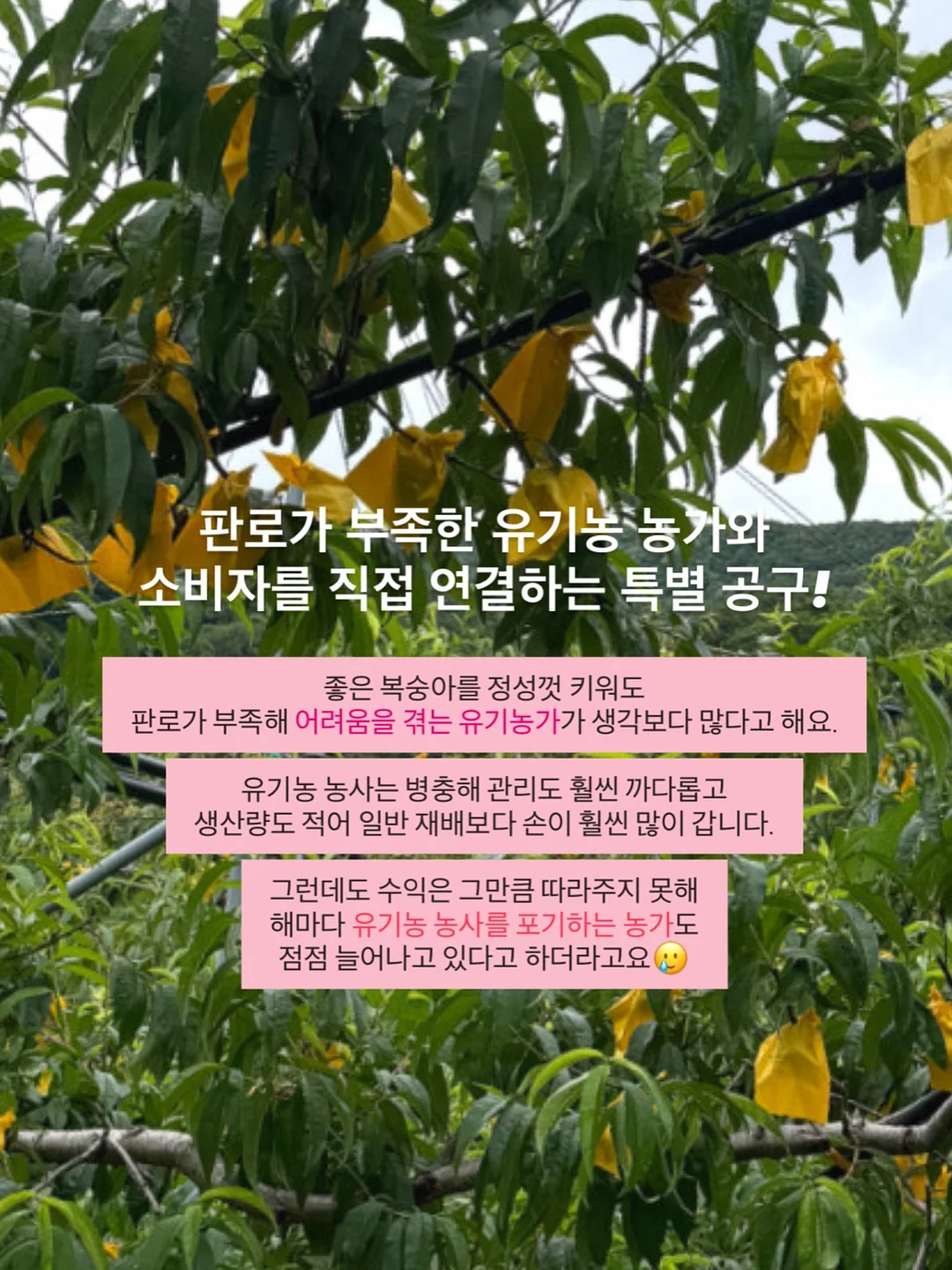 붙박이장 침대 3