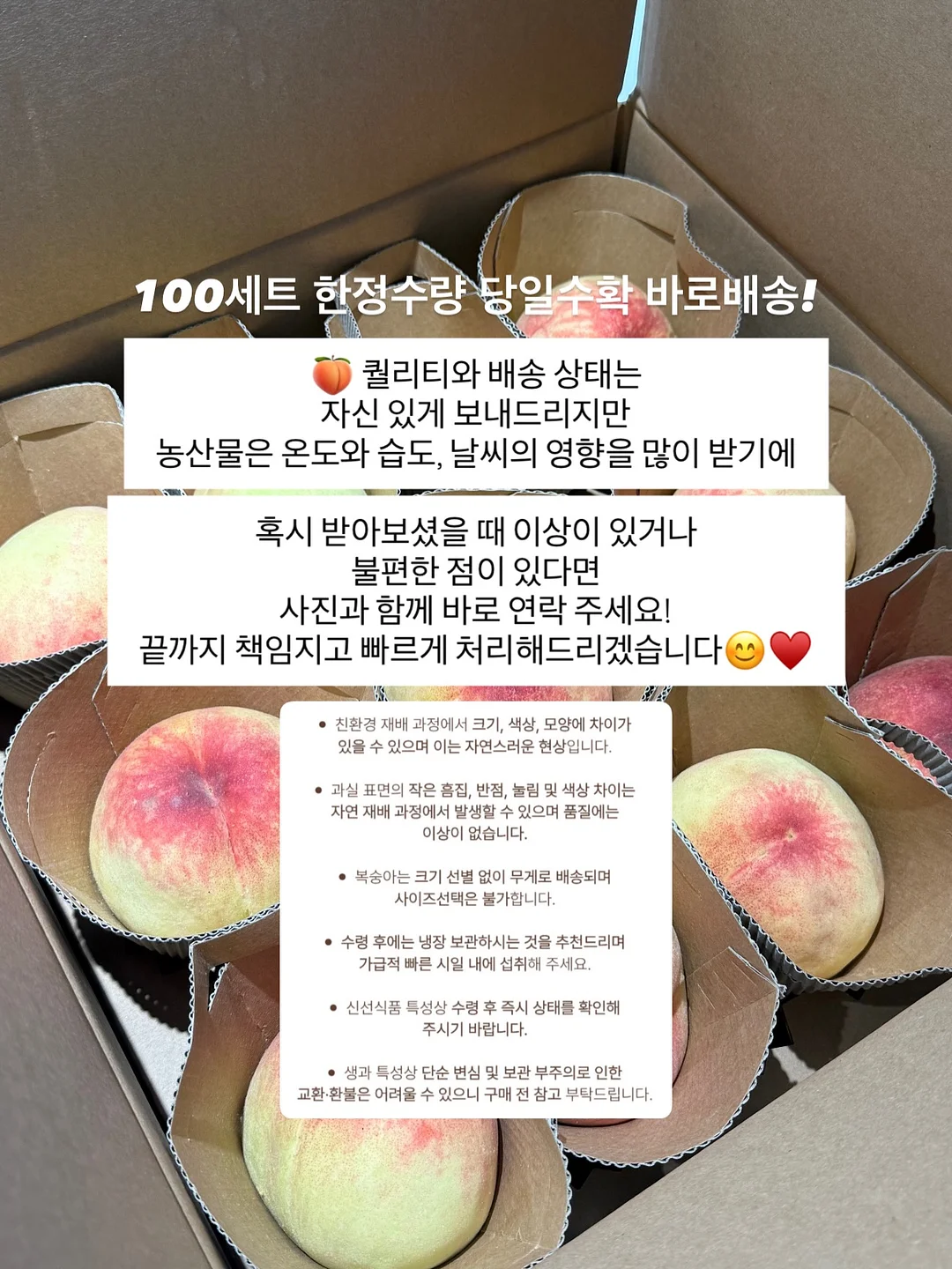 붙박이장 침대 7
