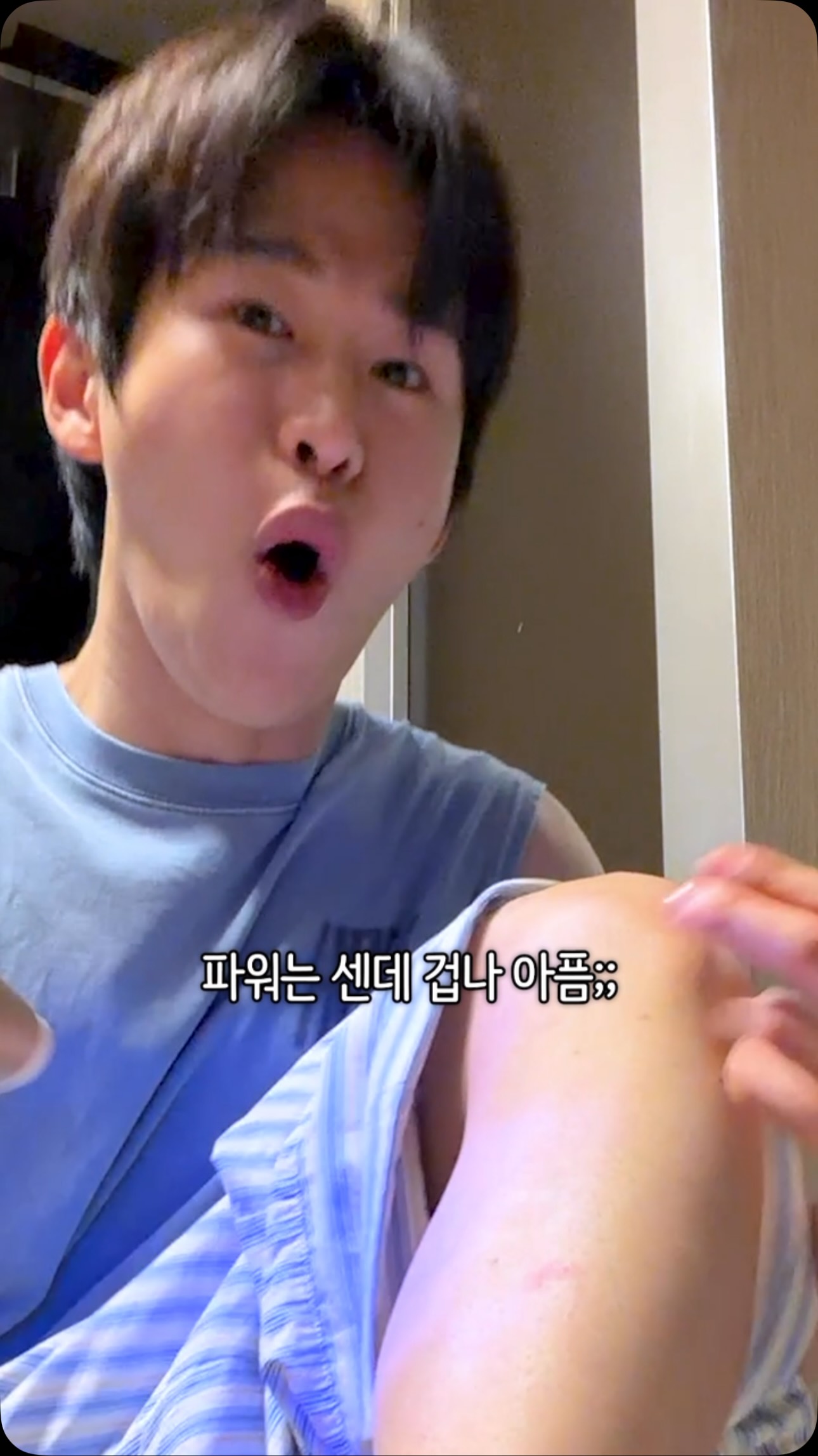 올리브 오일