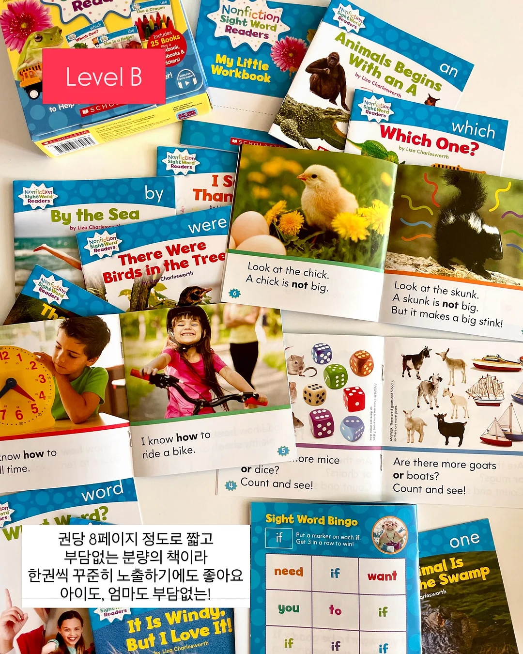 호프브로이 오리지날 라거 8