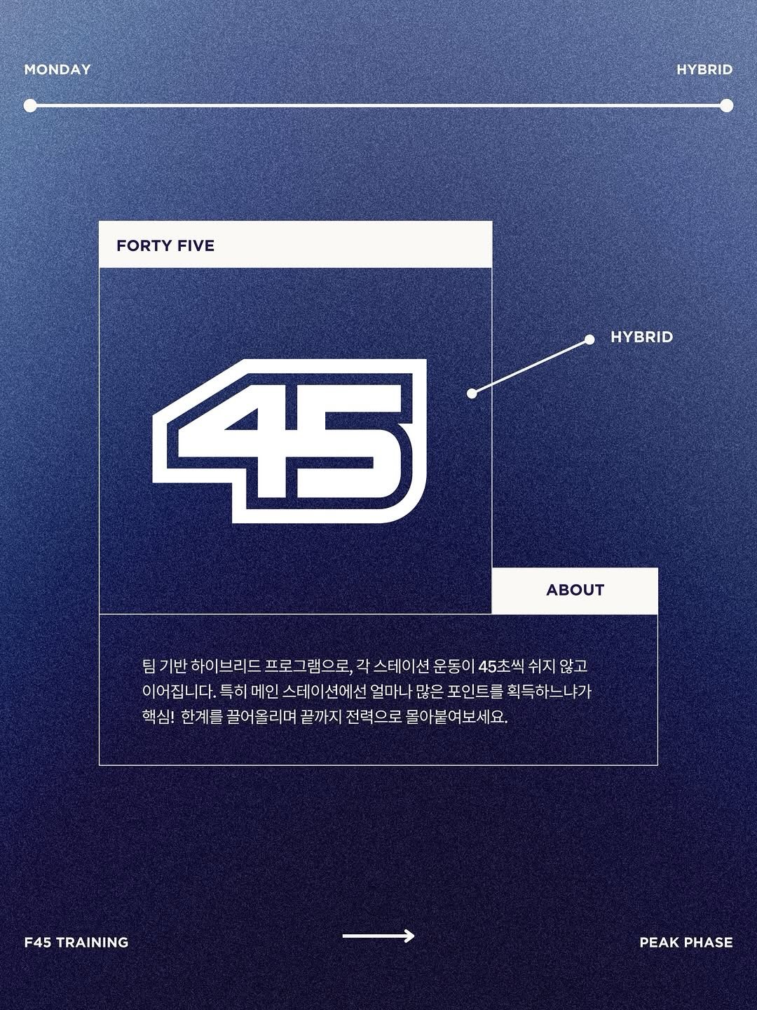 과일 콩포트 모음집 3