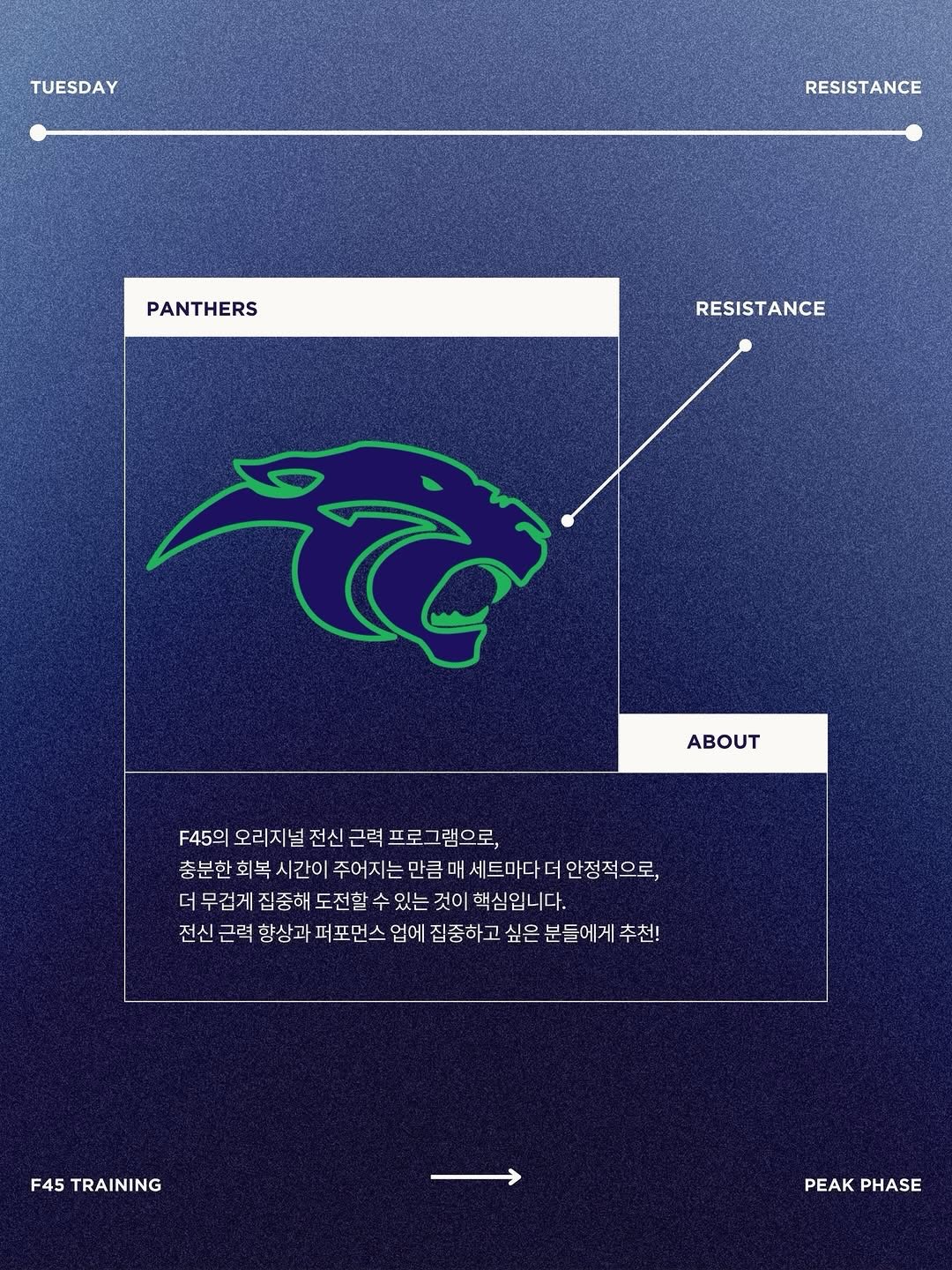 과일 콩포트 모음집 4