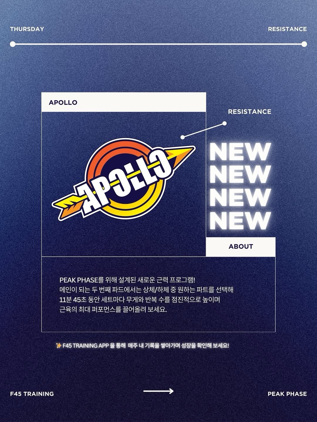 과일 콩포트 모음집 6