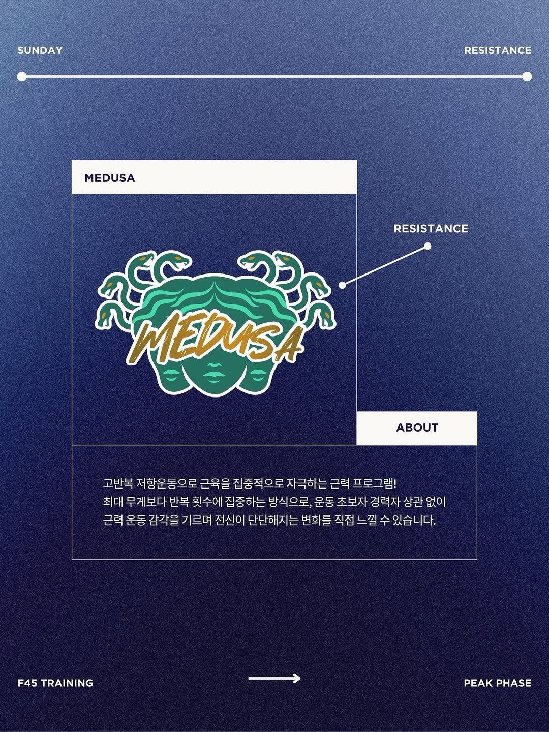 과일 콩포트 모음집 9