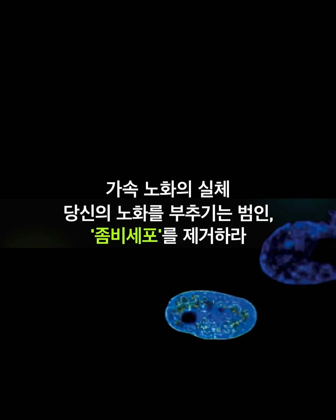 감성 한옥 스테이 2