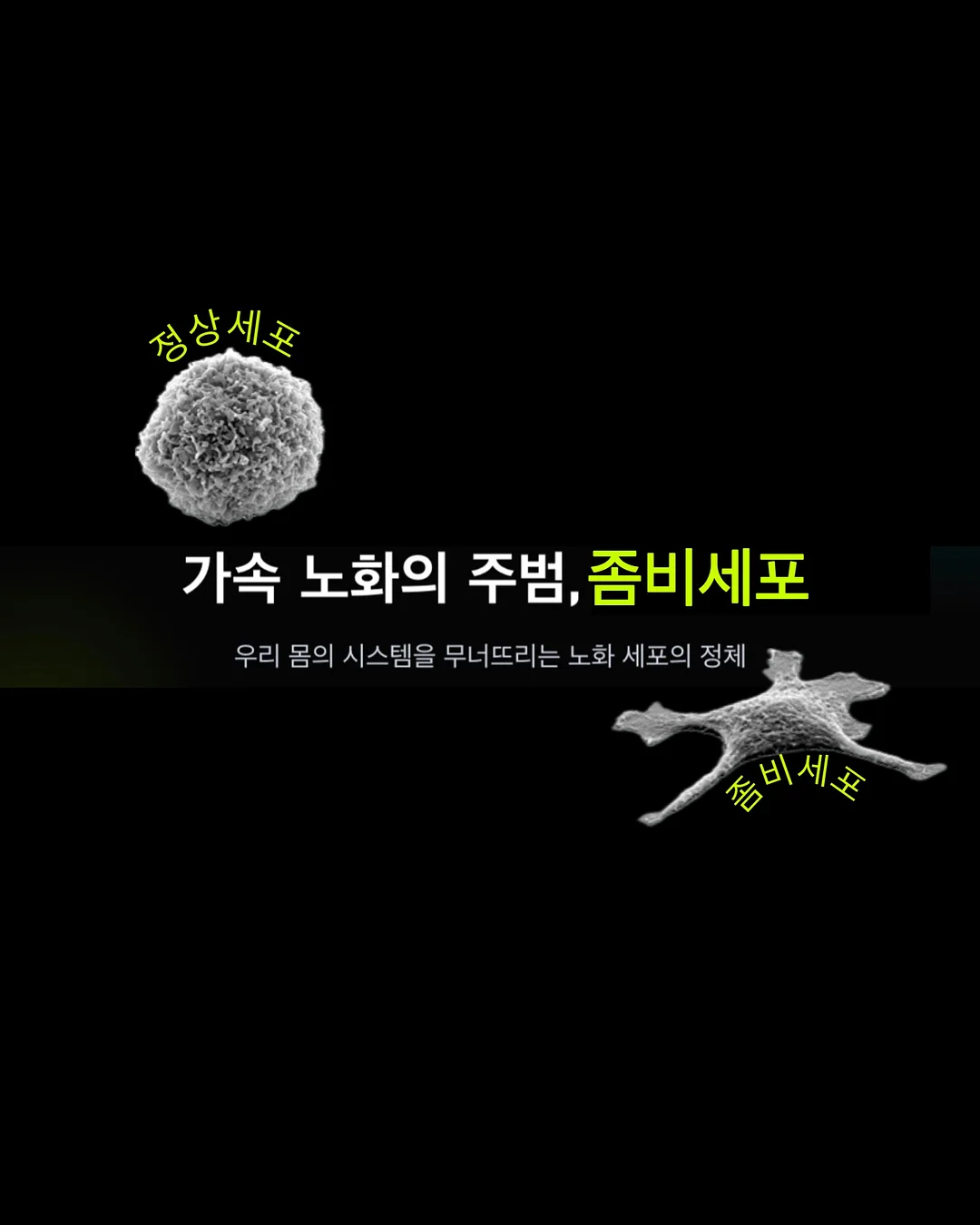 감성 한옥 스테이 3