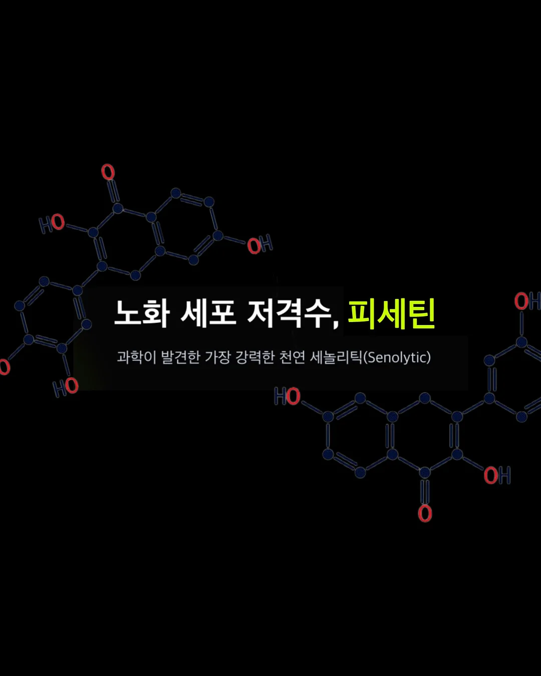 감성 한옥 스테이 6