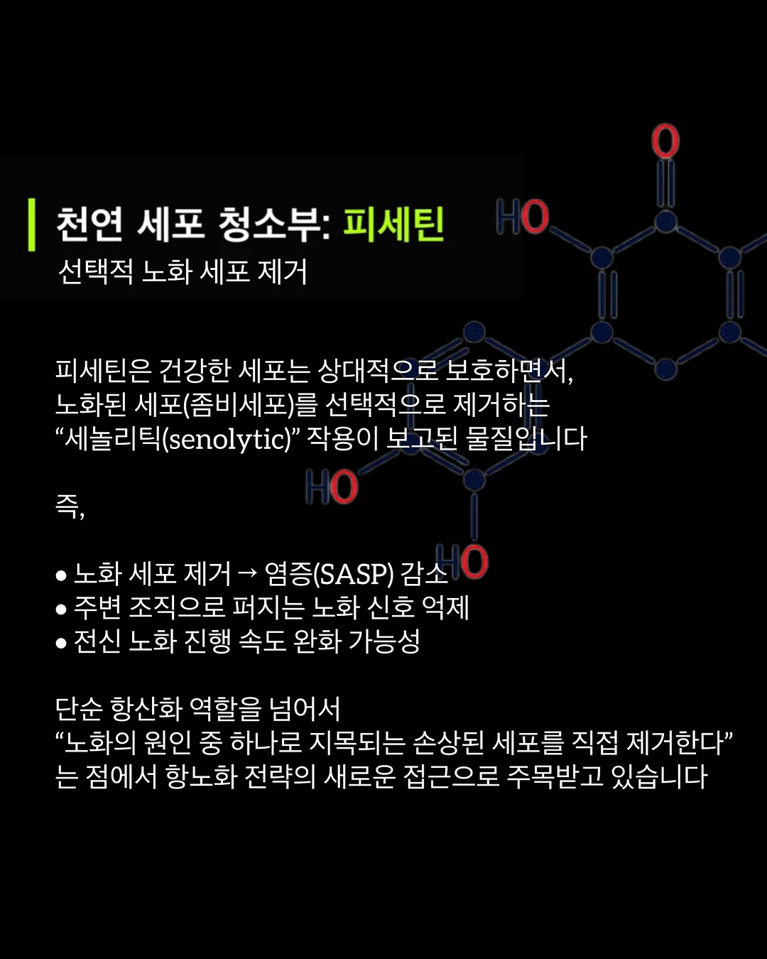 감성 한옥 스테이 7
