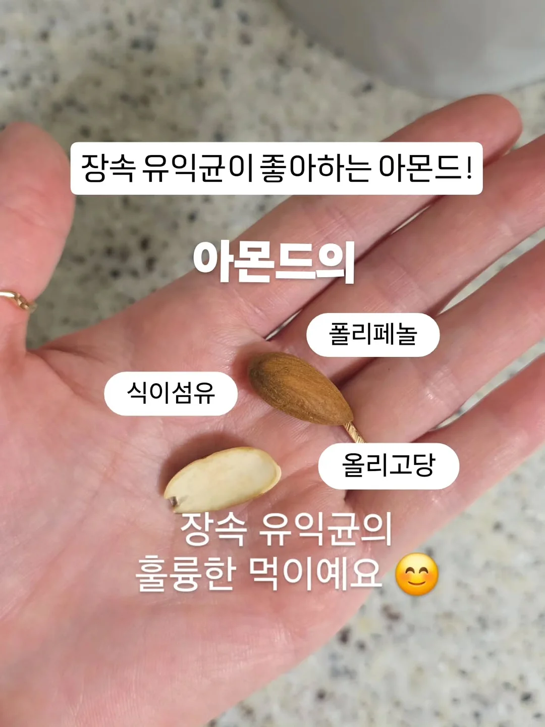 위영양제 2