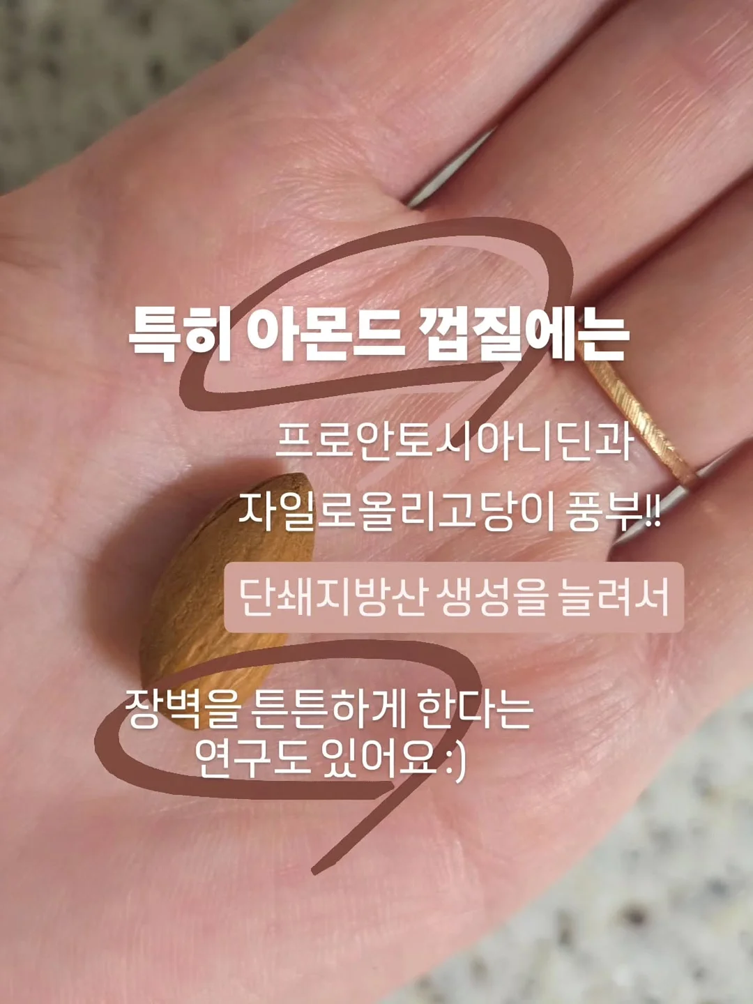 위영양제 3
