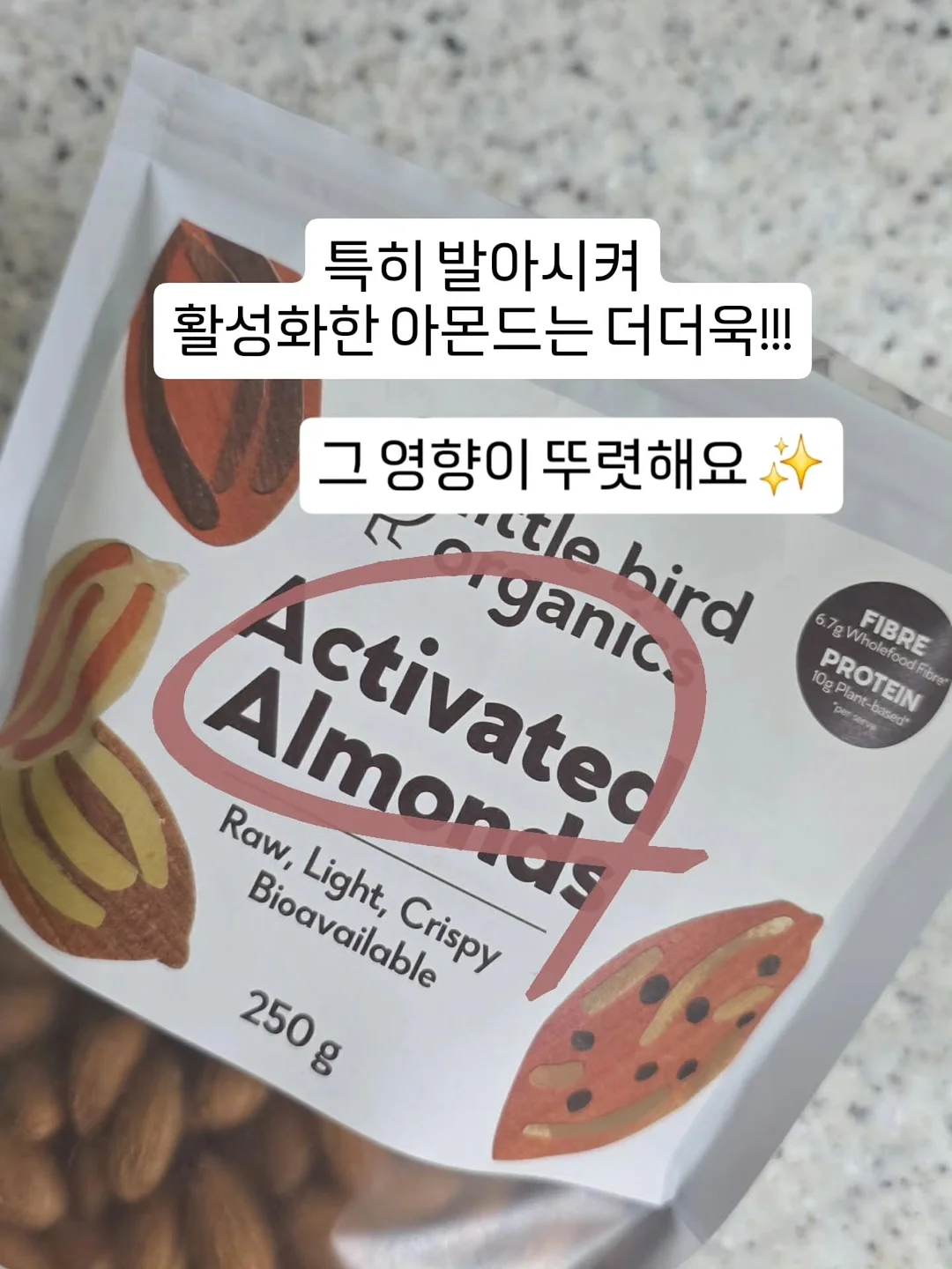 위영양제 4