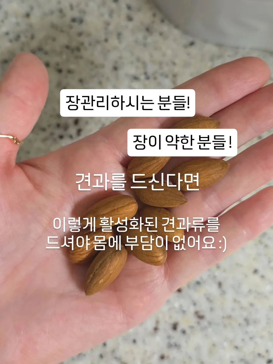 위영양제 6