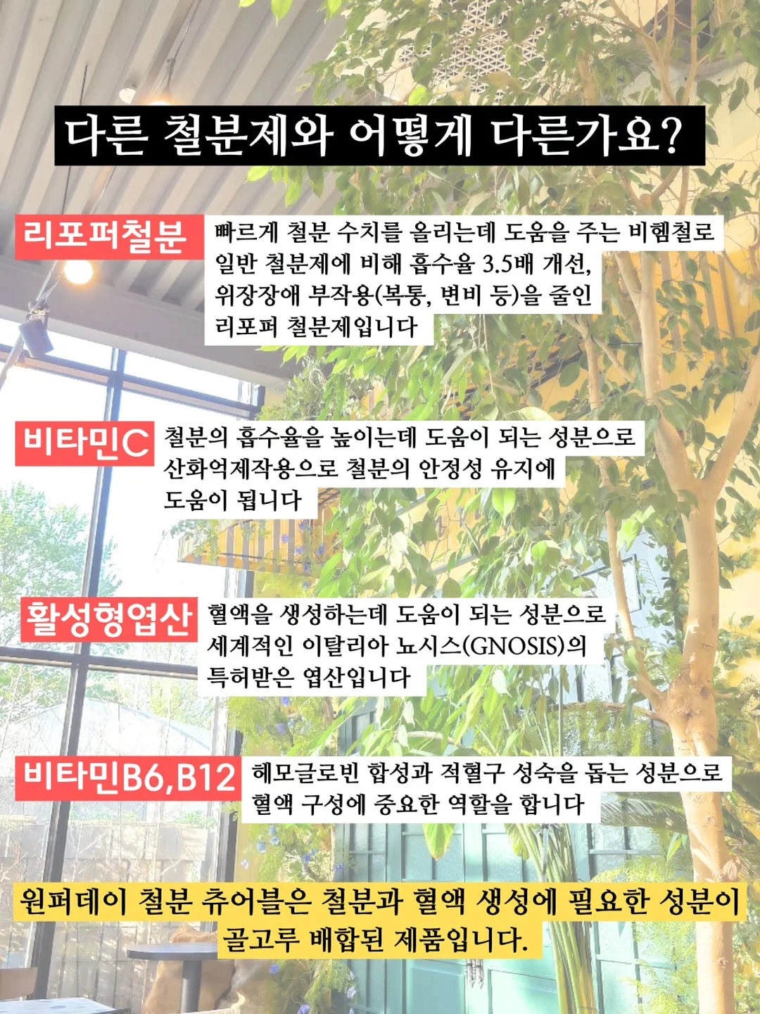 두바이 떠먹컵 5