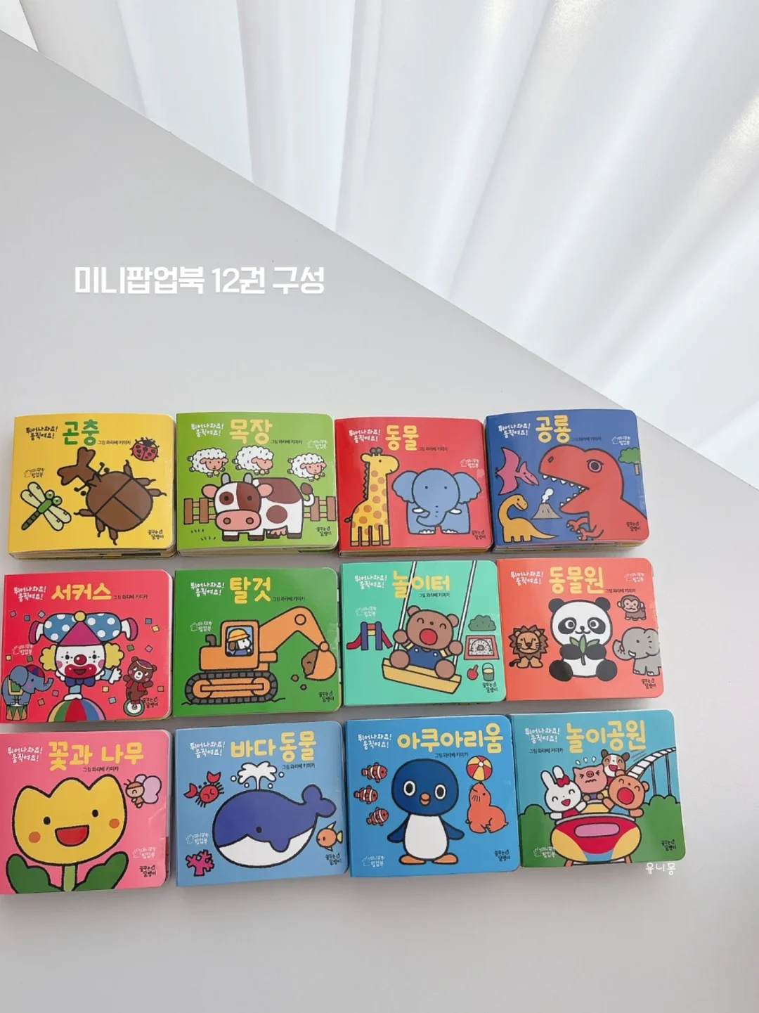 아오스타 치노바지 6