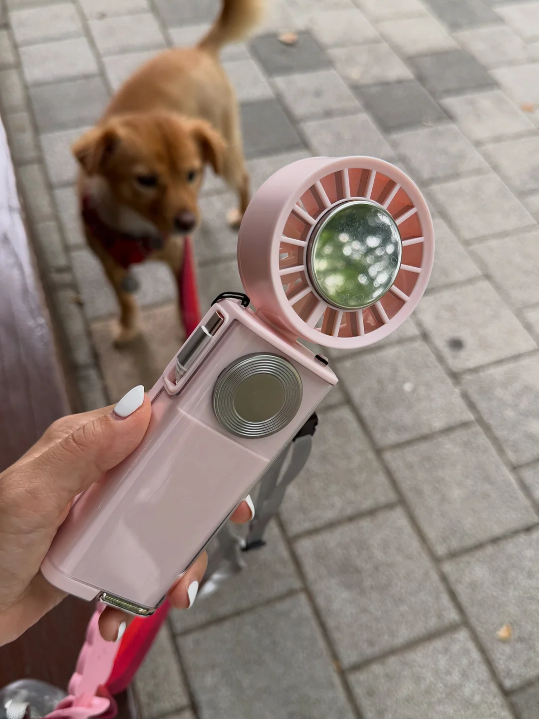 다이아몬드 팔찌, 목걸이 2