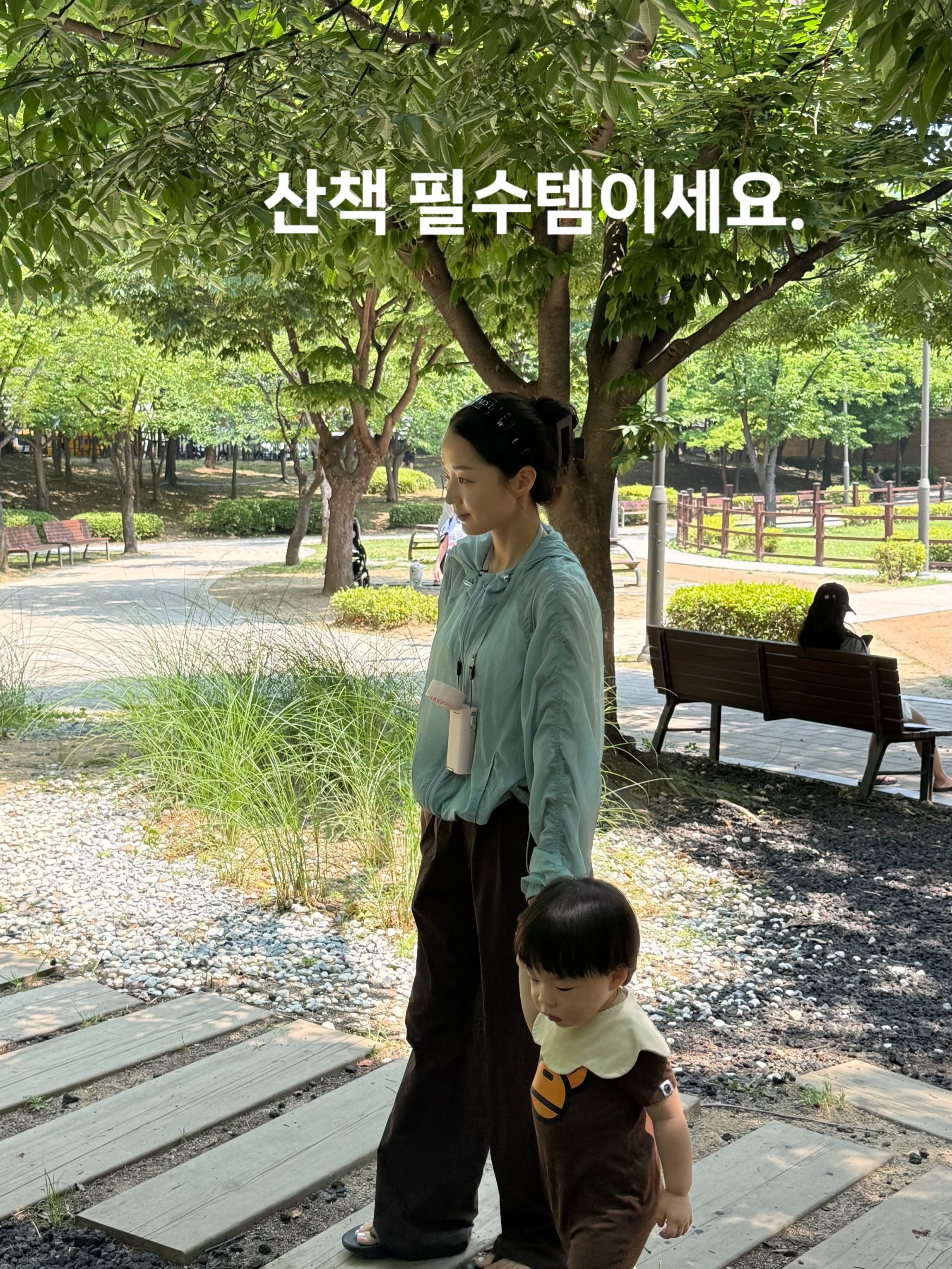 써니콘 토마토 기초 라인 3종 세트 8