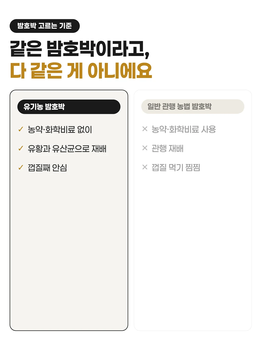 베베드피노 여름 시즌오프 4