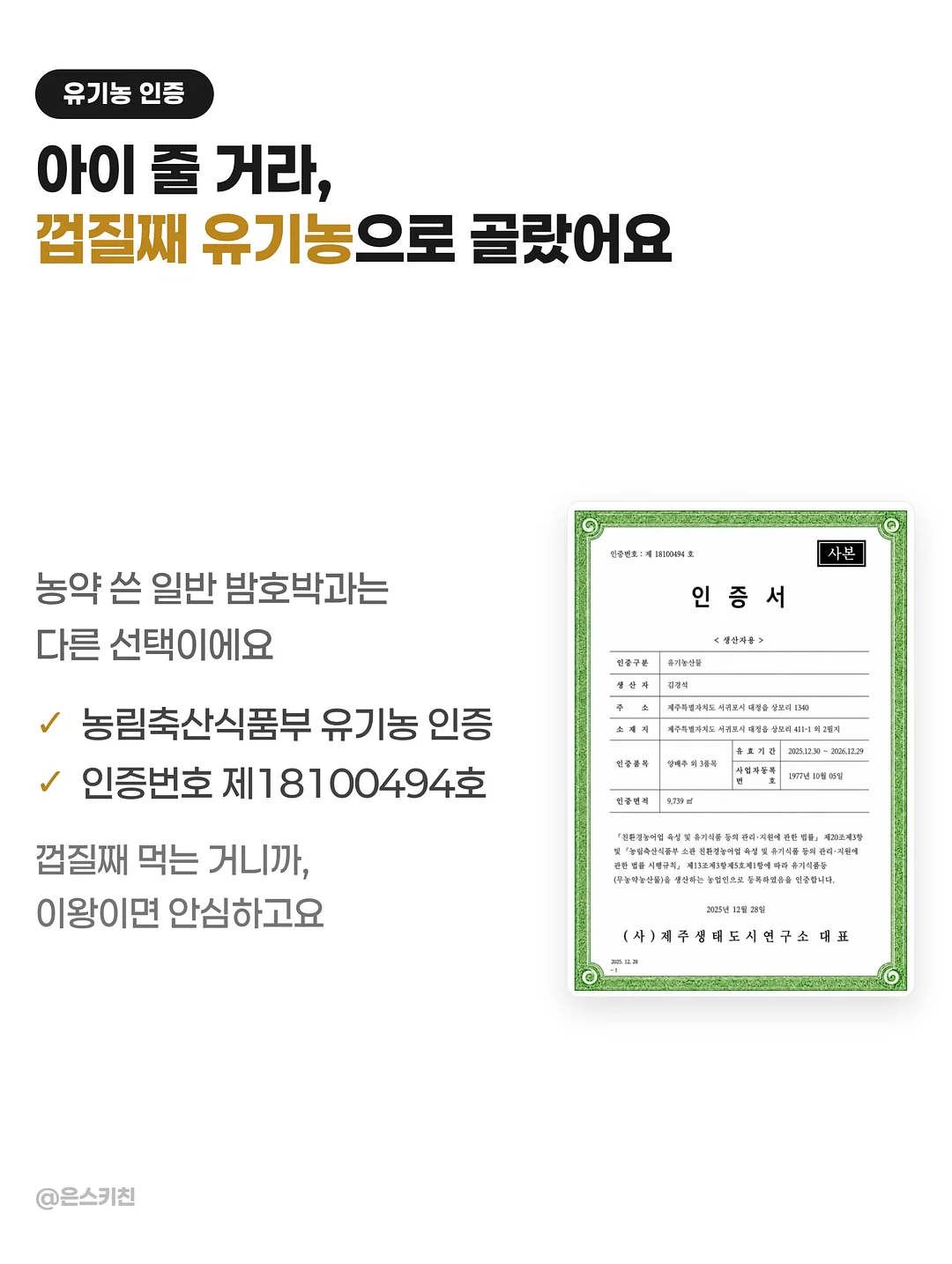 베베드피노 여름 시즌오프 5