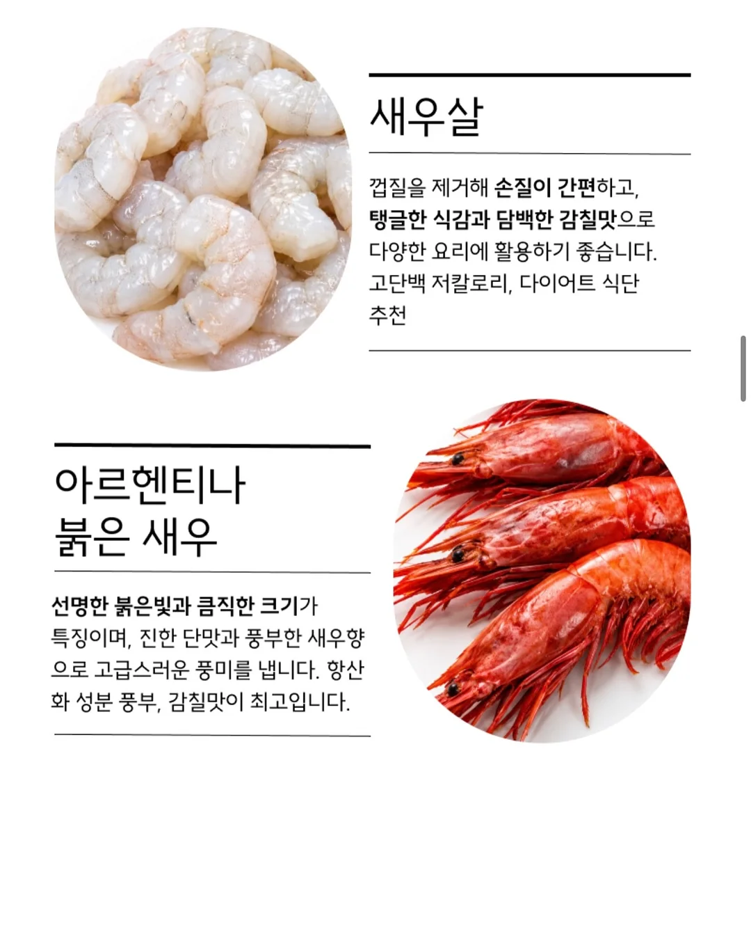 핸디형 스팀 다리미 14