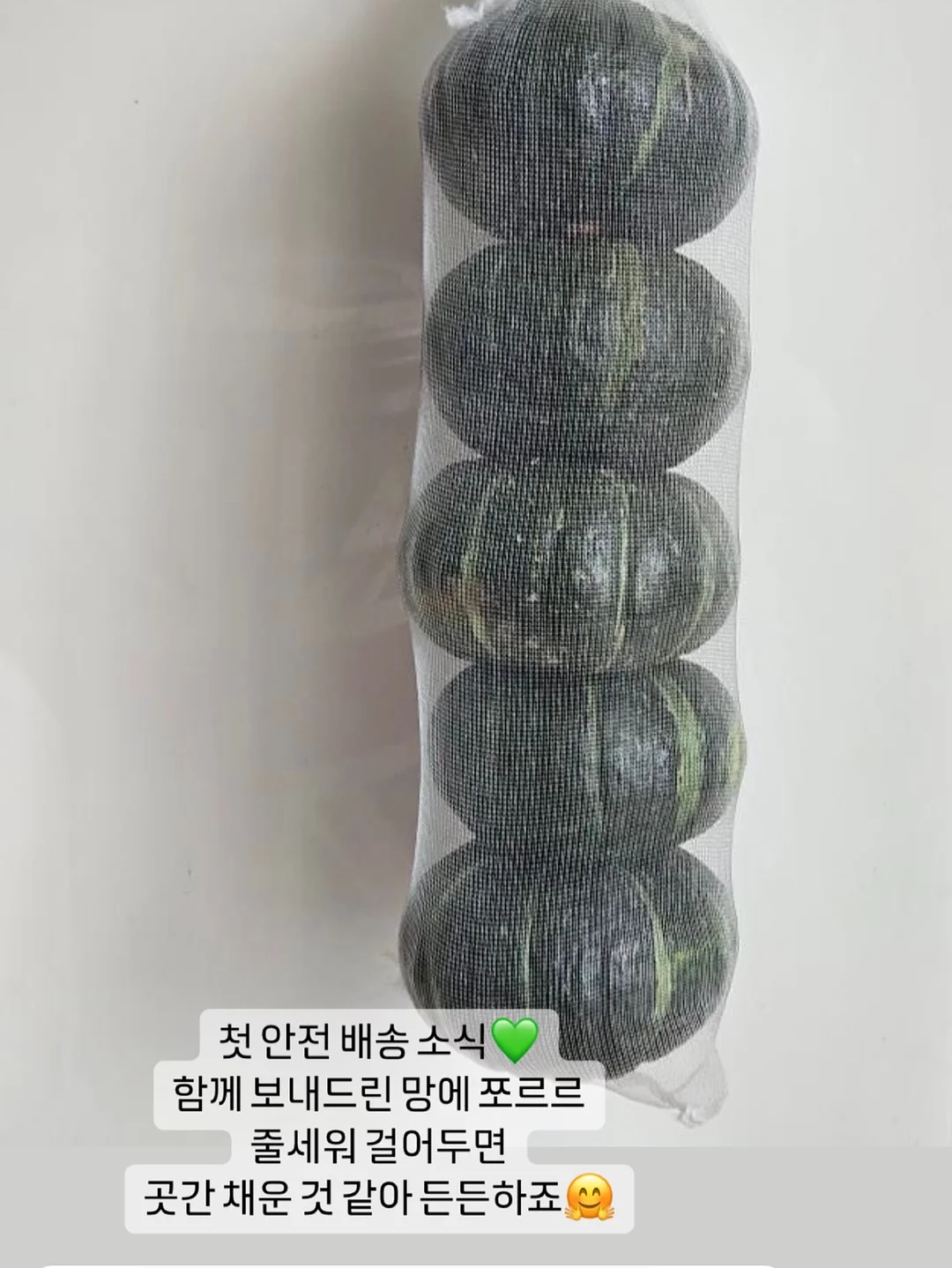 여름 상의 5