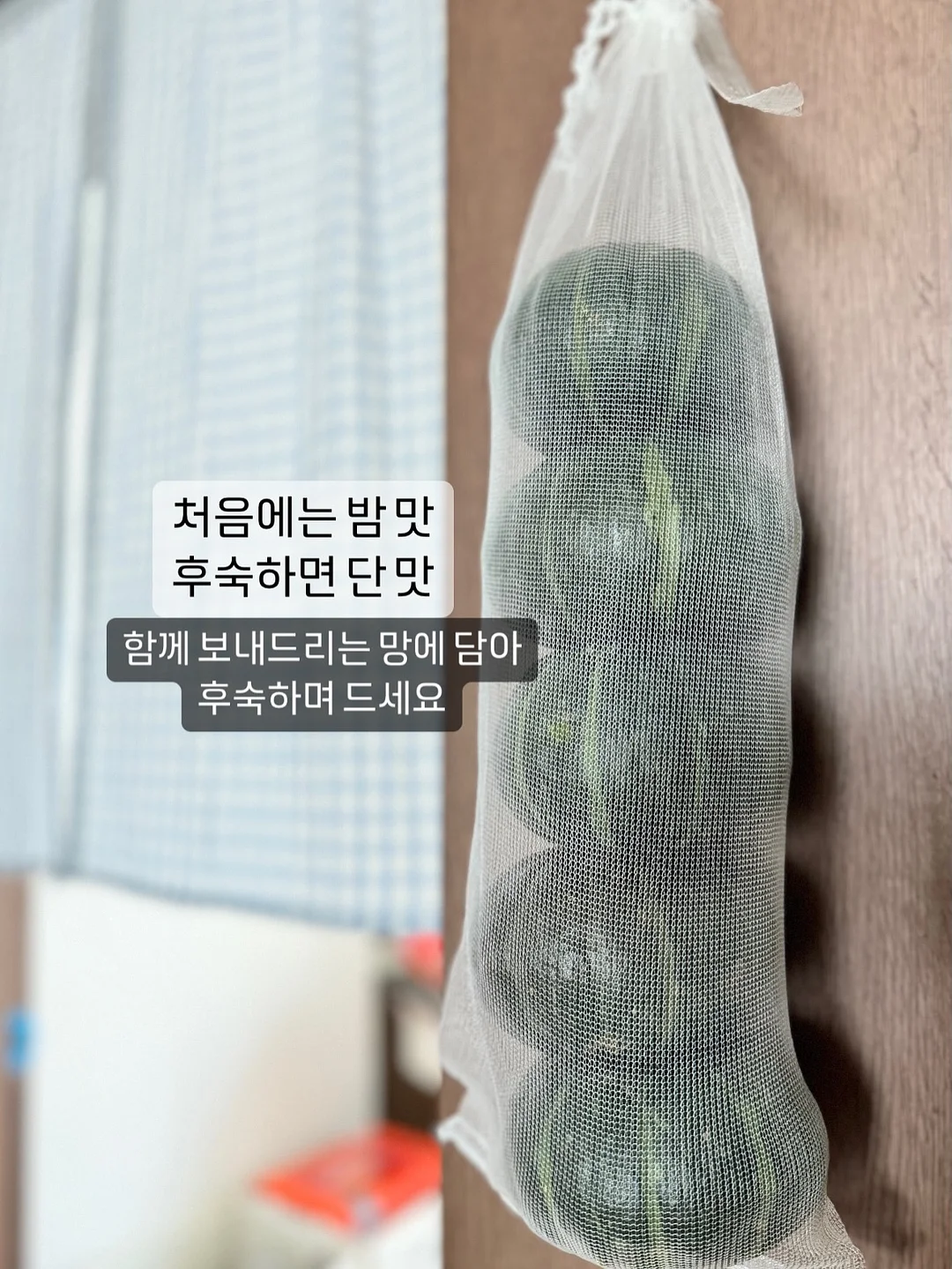 여름 상의 6