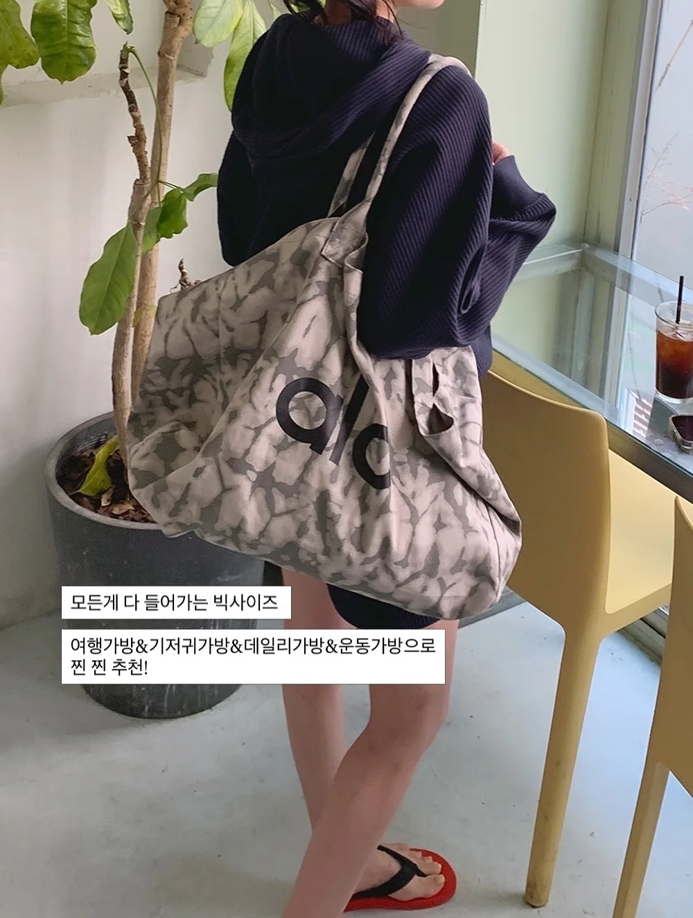 질유산균 5