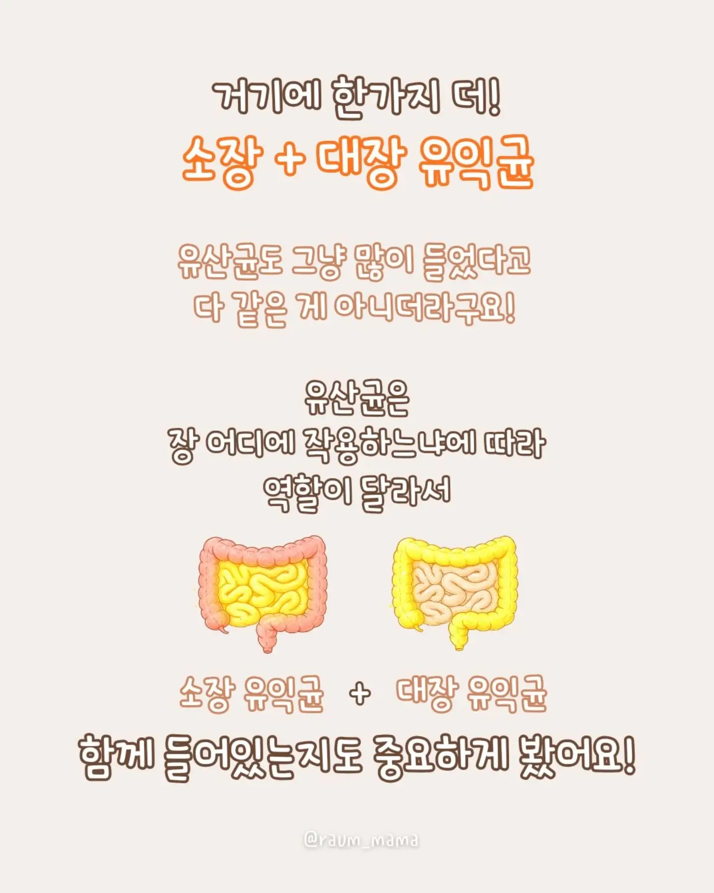 Nell 로드 원피스 4
