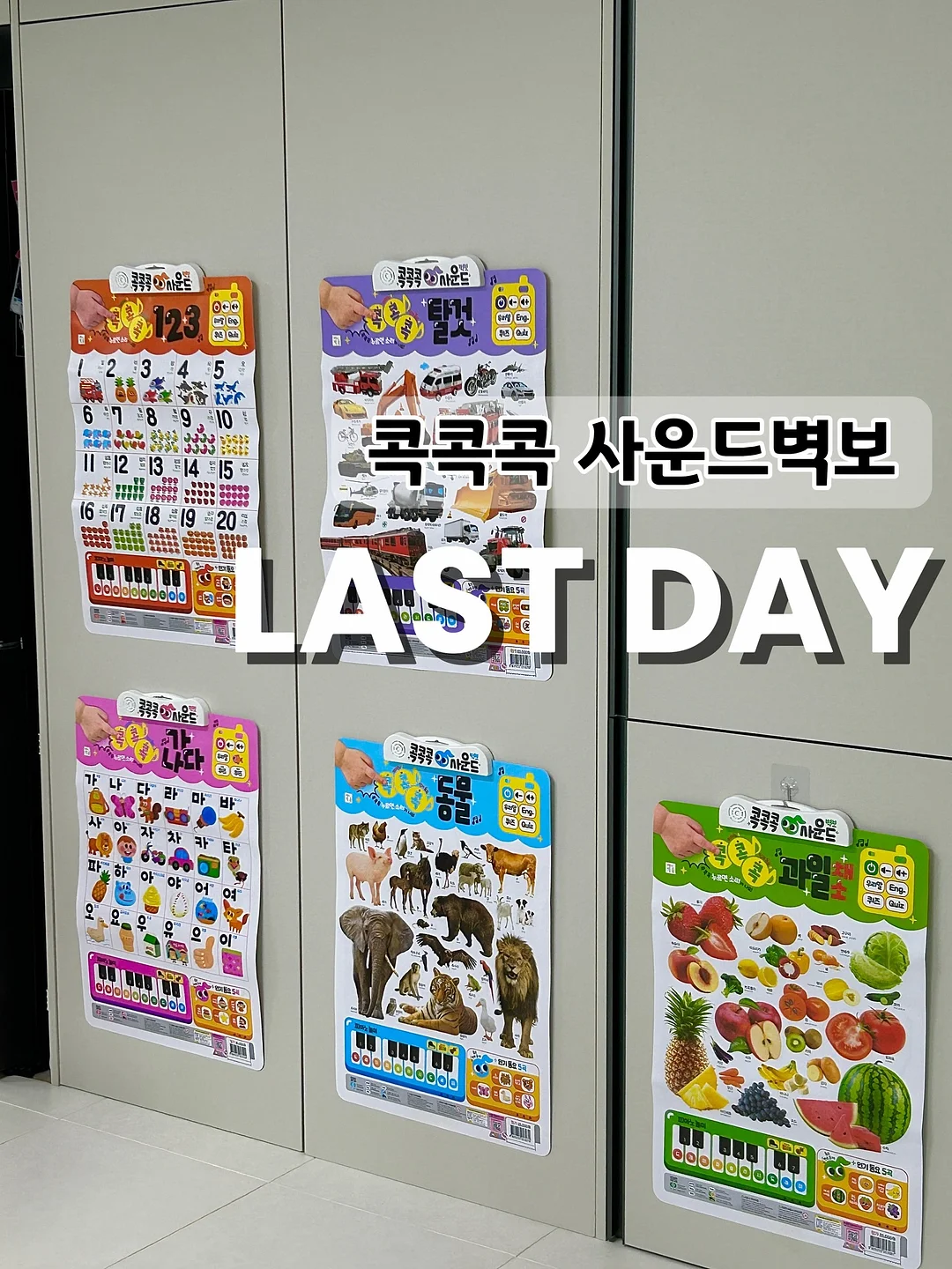 올드쉘터 X 어반포레스트 타프 1