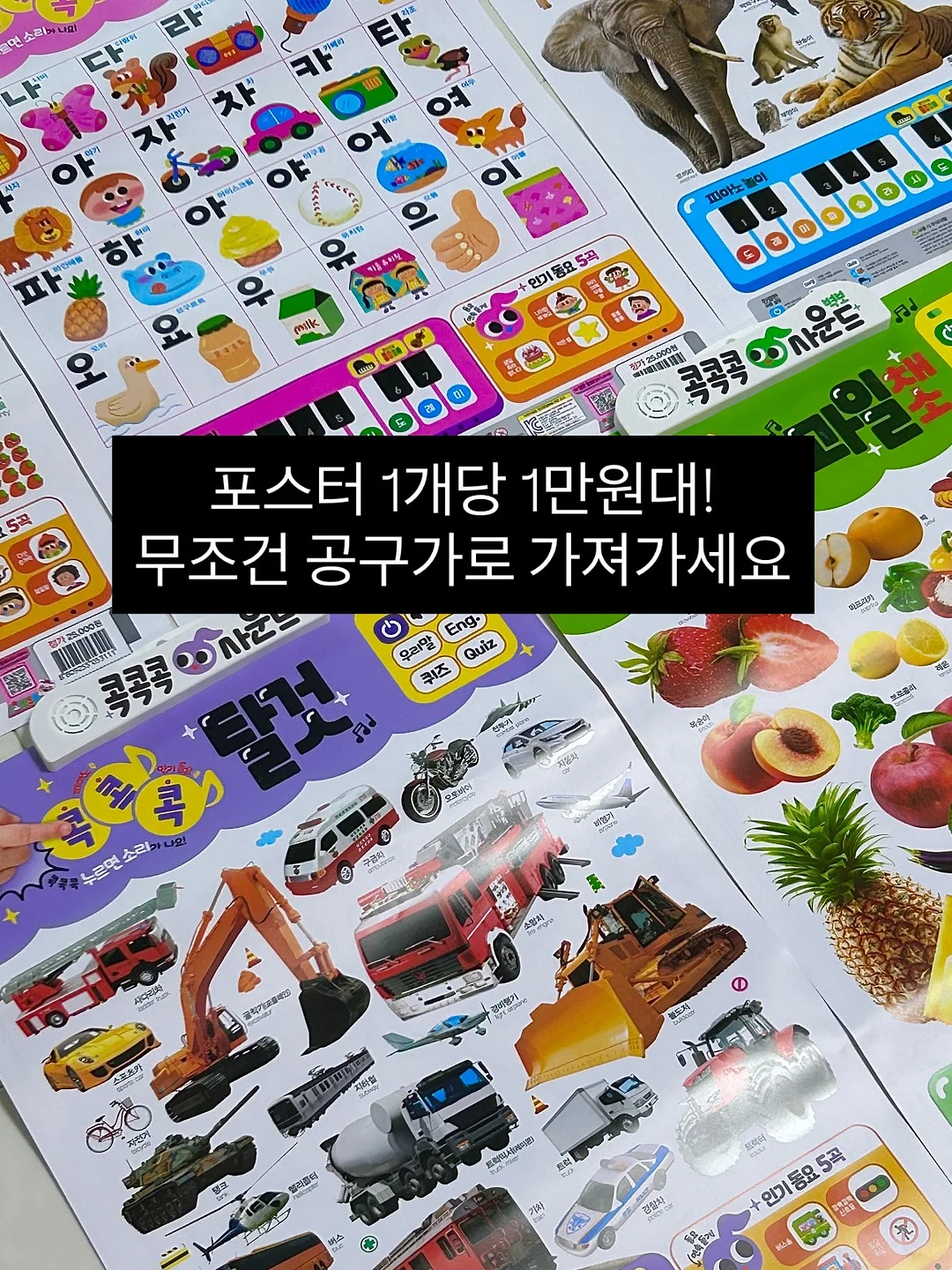 올드쉘터 X 어반포레스트 타프 3