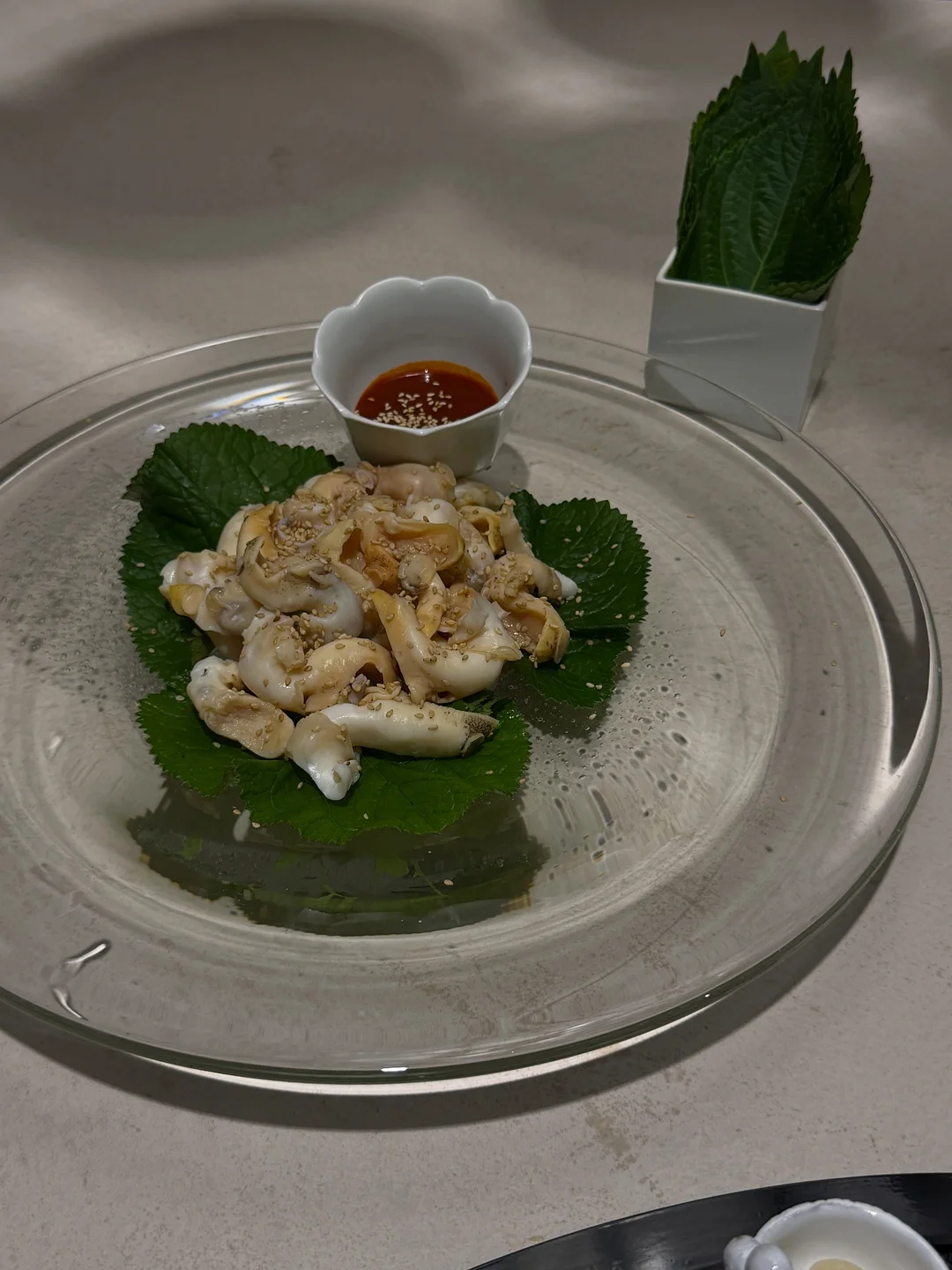 늙기싫다 조합 3