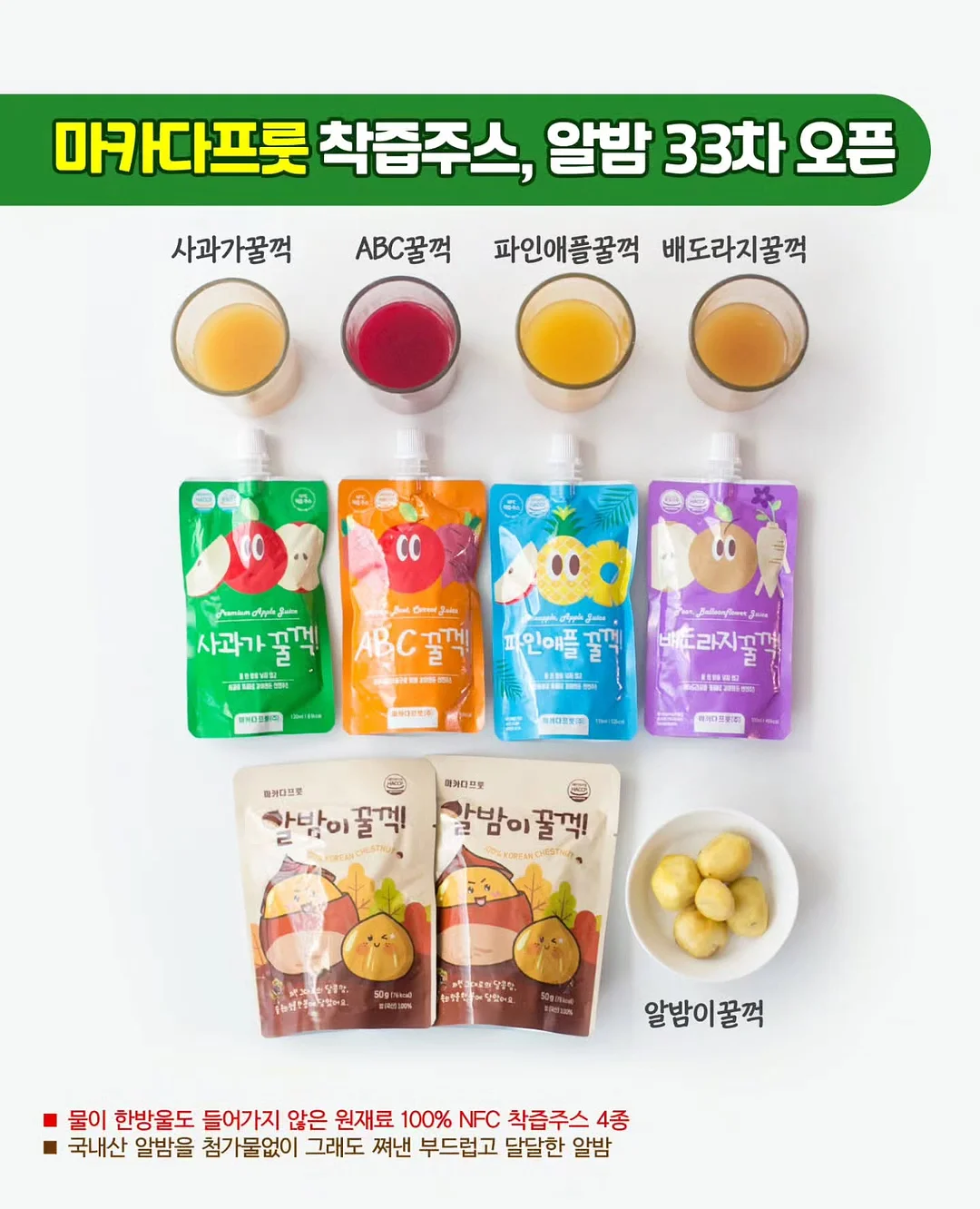 행운 거북이 9종 세트 1