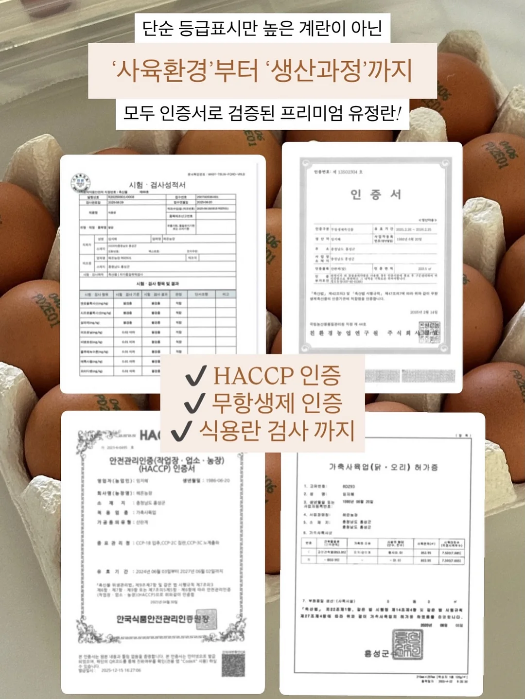 더좋은 오메가3 5
