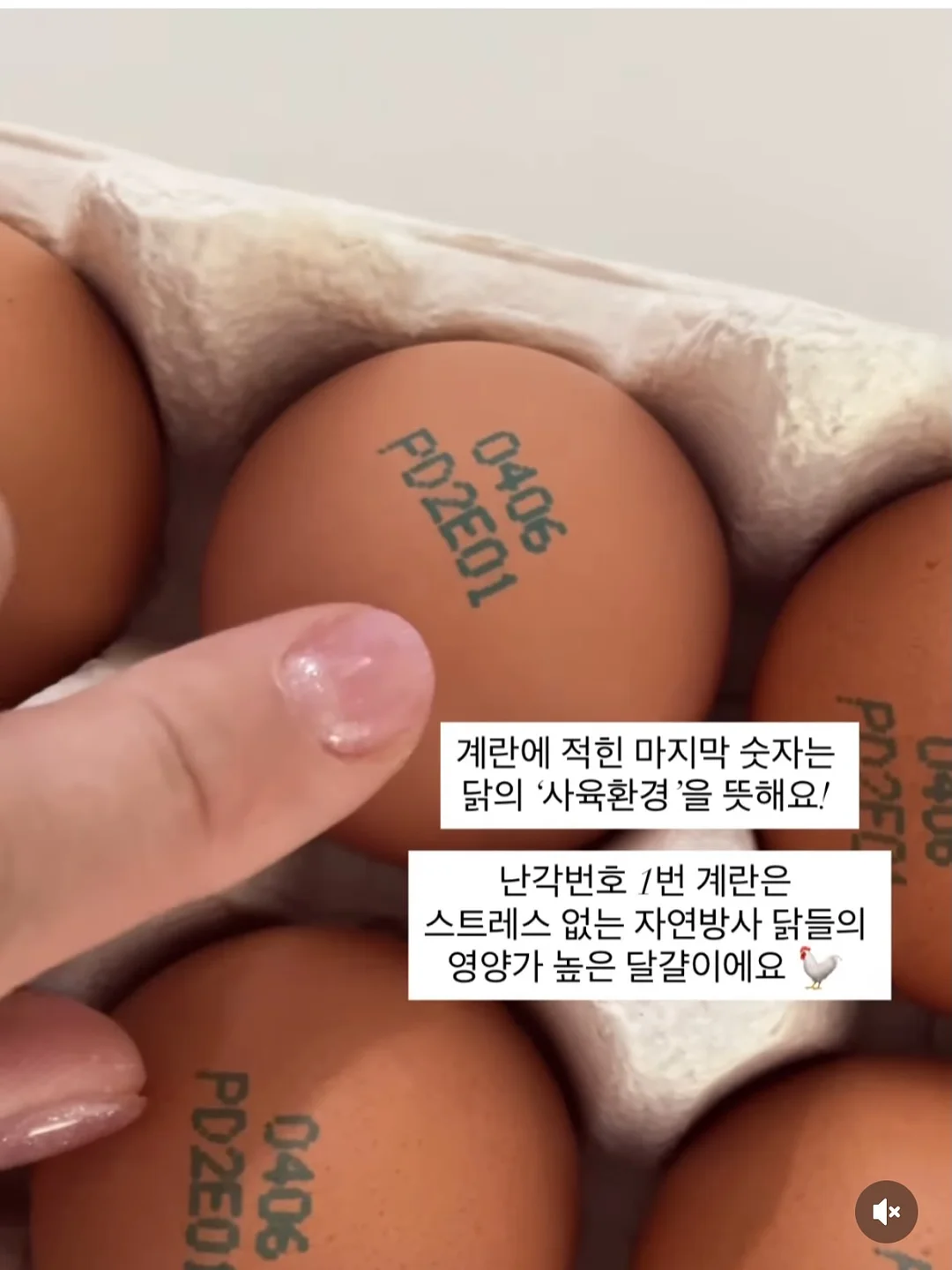 더좋은 오메가3 7