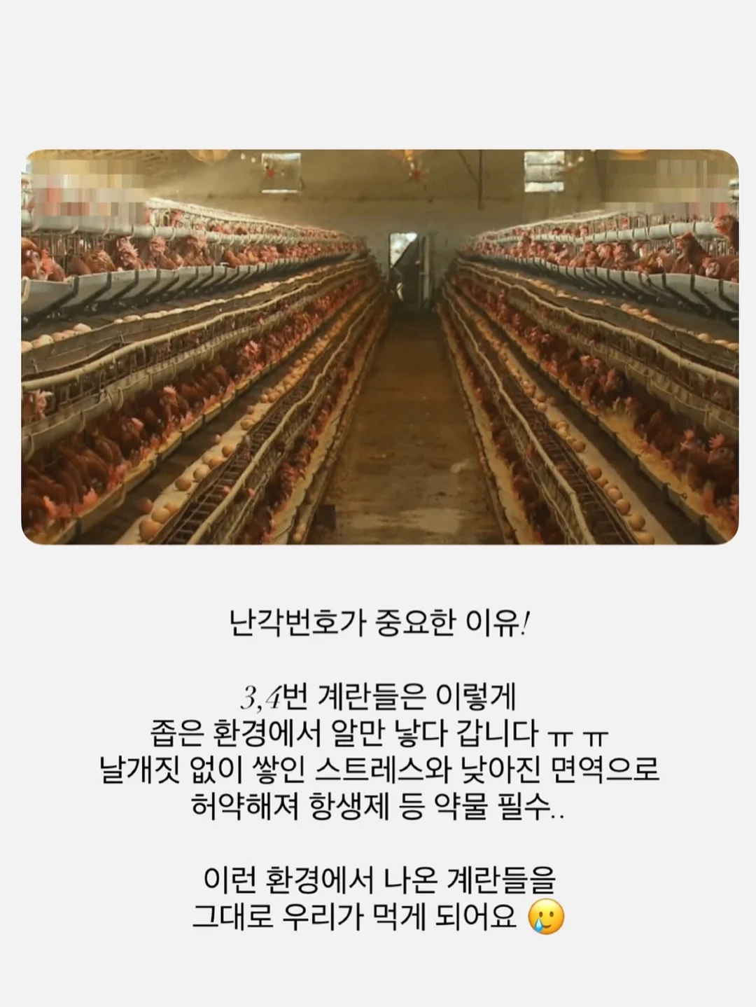 더좋은 오메가3 8