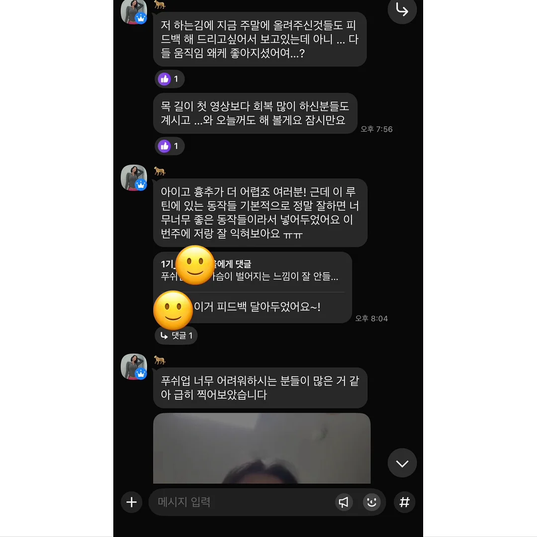 생신토퍼 6