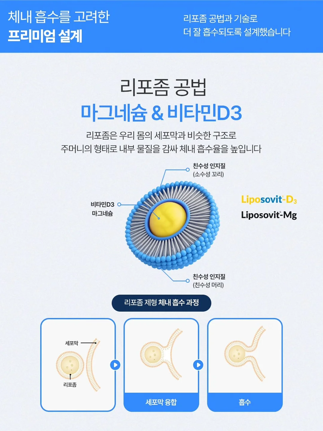 라인벨라 압박스타킹 11