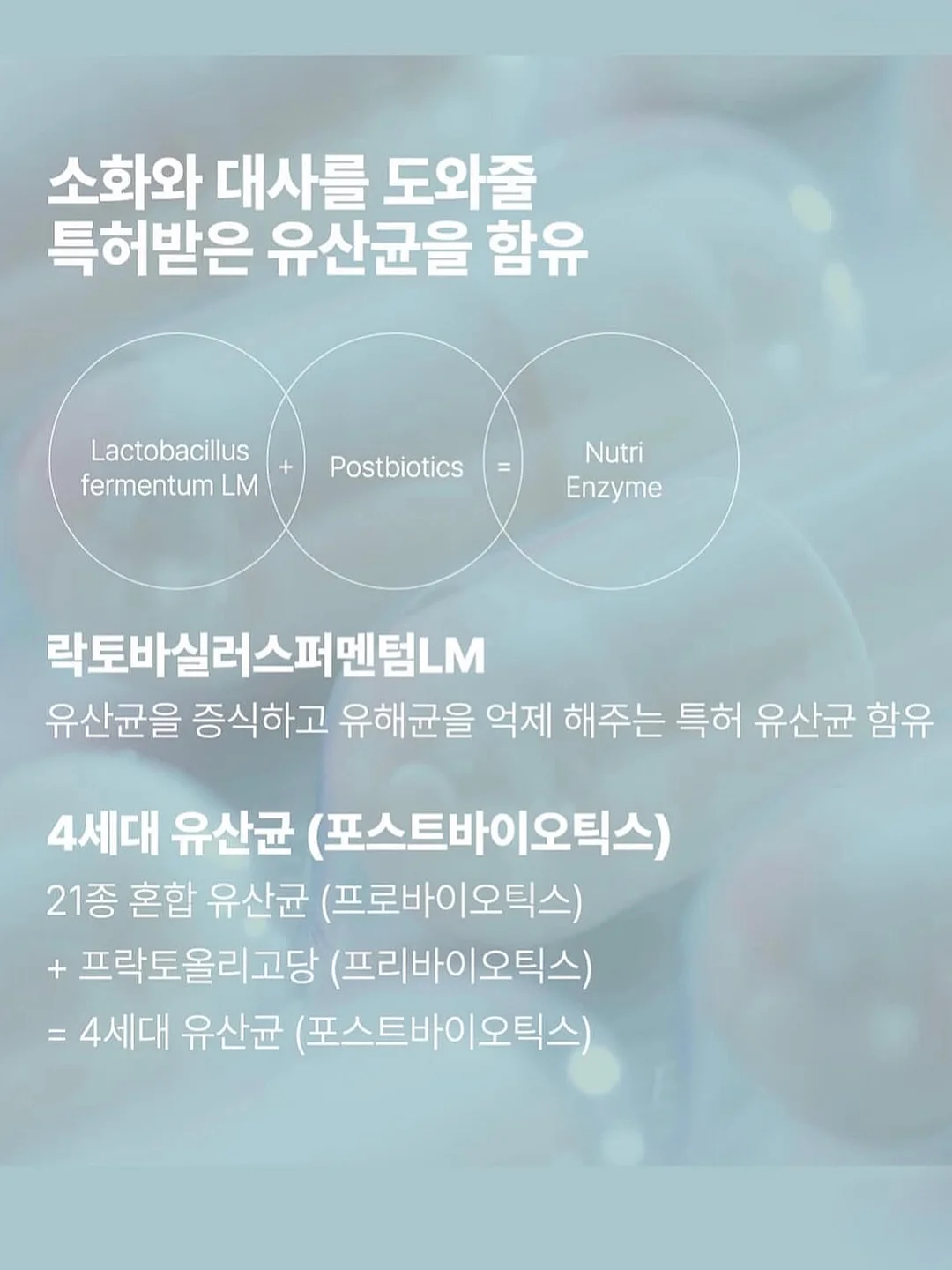 허페이 골프여행 19