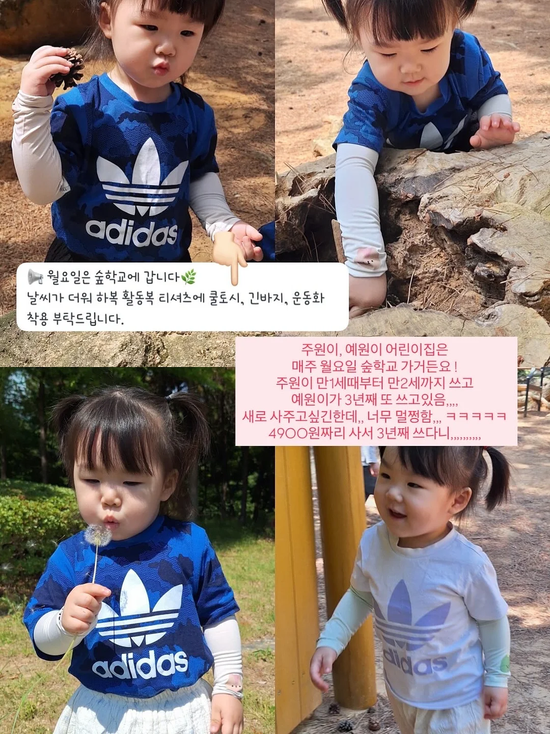 너구리 5개입 8