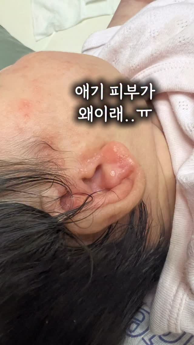 작은아씨들 고전 필사 노트