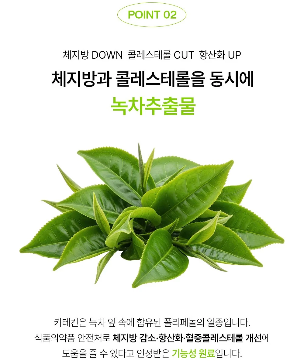 도시락 12